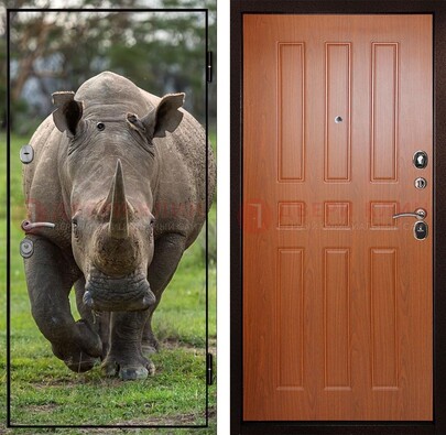 Металлическая дверь с фотопечатью носорога ДФ-31 в Дедовске